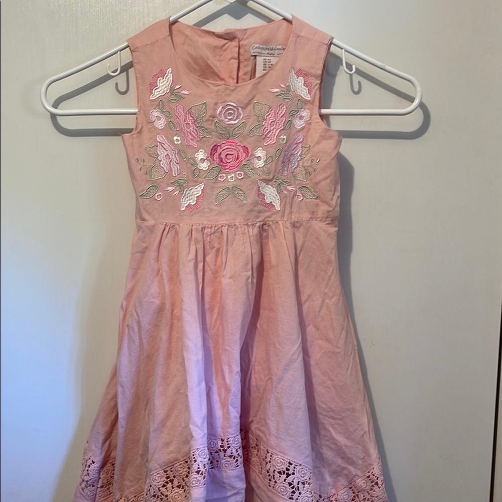 Catherine Malandrino Blush Pink Embroidered Dress